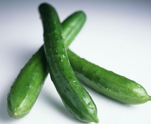 华康绿源食品集团 从一根黄瓜开始，专注蔬菜配送与生鲜蔬菜的品质坚守